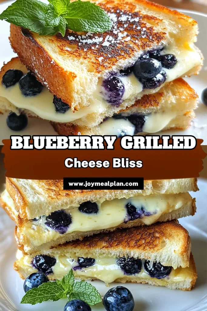 Indulge in a delicious twist with this blueberry grilled cheese! This sweet and savory sandwich combines creamy honey-infused cream cheese with fresh blueberries and gooey mozzarella, all nestled between toasted brioche. Perfect for a unique lunch or light snack, this cream cheese blueberry recipe is sure to impress. Try this unique grilled cheese idea for an unforgettable taste experience! Save this pin for your next cooking adventure! #BlueberryGrilledCheese #SweetAndSavory #GrilledCheeseIdeas #BriocheSandwiches