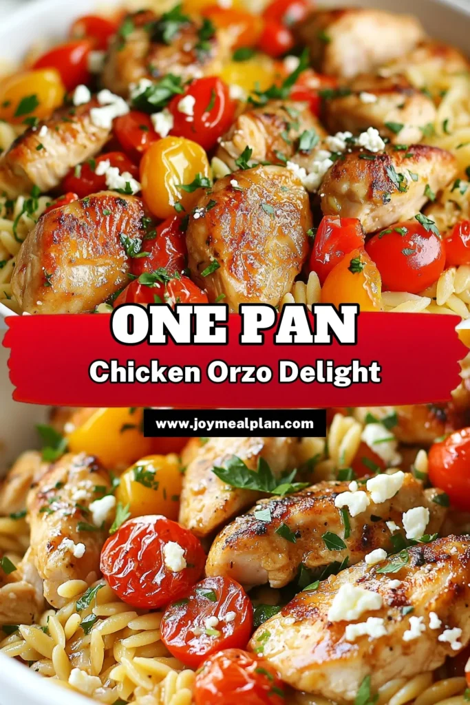 Discover this savory chicken orzo recipe that's a delightful one-pan chicken dinner! Featuring juicy skillet chicken thighs and a rich blend of flavors, this easy orzo pasta dish is perfect for busy weeknights. The optional feta cheese adds a creamy touch, making it irresistible. Ready in just 30 minutes, it’s a meal the whole family will love. Save this feta cheese orzo recipe for your next dinner! #ChickenRecipe #OrzoPasta #EasyMeals #OnePanDinner